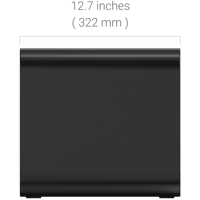 WiiM Sub Pro variant 4