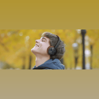 MUSE HiFi M-271 DB variant 7