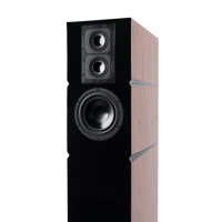 Audience Bellare variant 10