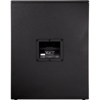 Electro-Voice ELX118 variant 6