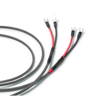 Audience Au24 SX XLR variant 5