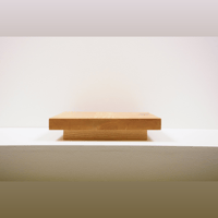 Fern and Roby The Amp Stand variant 4