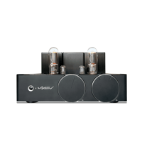 Voxativ T-211 SET Integrated Amp variant 1