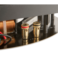 Revel W228Be variant 9