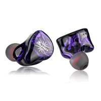 Kiwi Ears Quartet variant 10