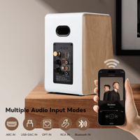 Aiyima AIYIMA S600 - EU Warehouse Ship variant 6