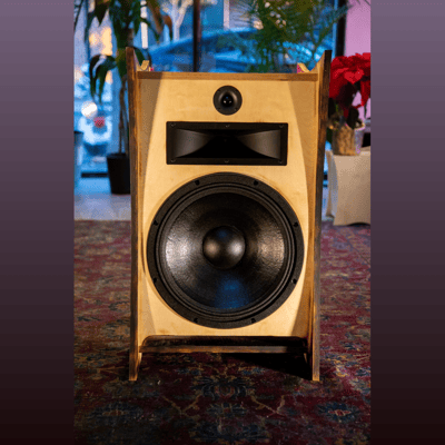 TIKI TUBE AMPS Atomic Hifi Speakers