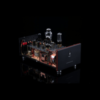 SW1x MPA V “Hercules” SE Mono Power Amplifier variant 4