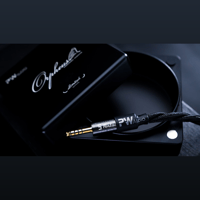 Oriolus PW AUDIO Orpheus with Shielding variant 5