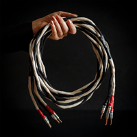 Heaven 11 Audio Crescendo Speaker Cables | 3M variant 1