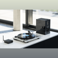 Pro-ject Audio Systems - USA Hard Rock Café Turntable variant 4