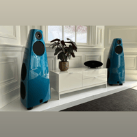 Meridian DSP9 variant 4