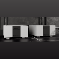 EMM Labs EMM Labs MTRX2 V2 Mono Amplifiers variant 6