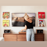 Andover Flip Record Display Shelf variant 17