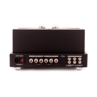 Feliks Audio ARIOSO 300B variant 4