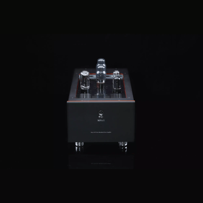 SW1x MPA I “Neptune” PP Mono Power Amplifier
