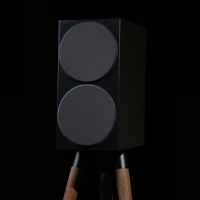 Buchardt Audio P300 variant 4