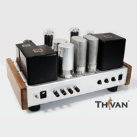 ThivanLabs Special ultimate monoblock 845PP Amplifiers variant 4