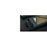 Cayin N7 Leather Case variant 3