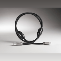 Shunyata Research ALPHA-X AES | S/PDIF | Clock variant 1