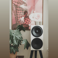 Buchardt Audio P300 variant 5