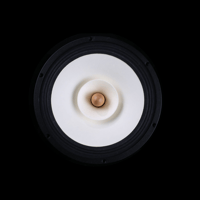 SW1x Lady Pearl Horn Loudspeakers variant 10