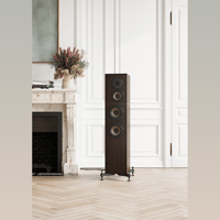 Revival Audio ATALANTE 4 variant 1