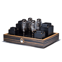 Border Patrol S20EXD PARALLEL SINGLE-ENDED AMPLIFIER variant 1