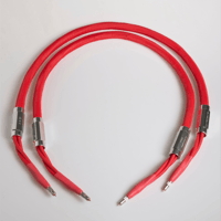 Omega Audio Concepts Estremo variant 1