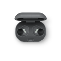 B&O-Bang & Olufsen  Beoplay E8 Motion charging case variant 1