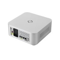 Silent Angel Forester F2 variant 4