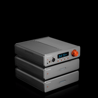Burson Audio Timekeeper GT4 variant 2