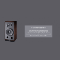 Magnat Transpuls variant 6