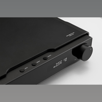 Goldenwave Serenade (Hifiman & Goldenwave) Driver variant 1