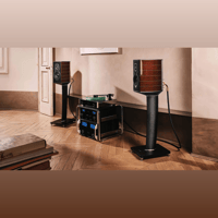 Sonus Faber Guarneri variant 7