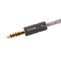 TRIPOWIN S-01 variant 15