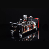 SW1x MPA II “Morpheus” Mono Power Amplifier variant 10