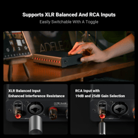 Fosi Audio Fosi Audio V3 Mono Monoblock Power Amplifier variant 8