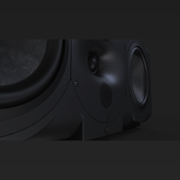 Perlisten R5c variant 4