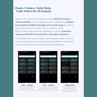 Cayin T201 Audio Motherboard variant 6