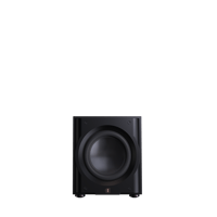 Perlisten R10s variant 1