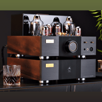 Cayin Soul 170HA variant 36