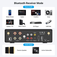 Arylic B50 Bluetooth Stereo Amplifier With Audio Transmitter variant 3