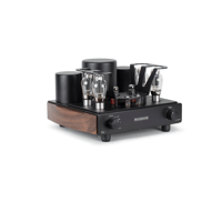 Mastersound Evo 300B variant 2