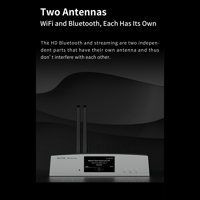 Aune S10N  Network Music Player variant 21