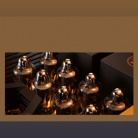 Cayin Pearl 30i variant 5