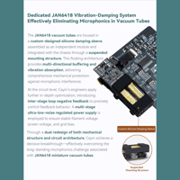 Cayin T201 Audio Motherboard variant 7