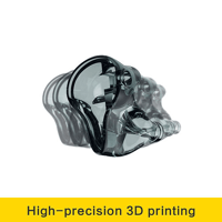 AudioSense AudioSense T800 variant 2