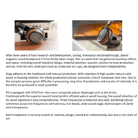 Sivga Audio Planar Magnetic Over-ear Open-back Wood Headphone variant 11