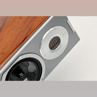 Audiovector R 5 Arreté variant 7